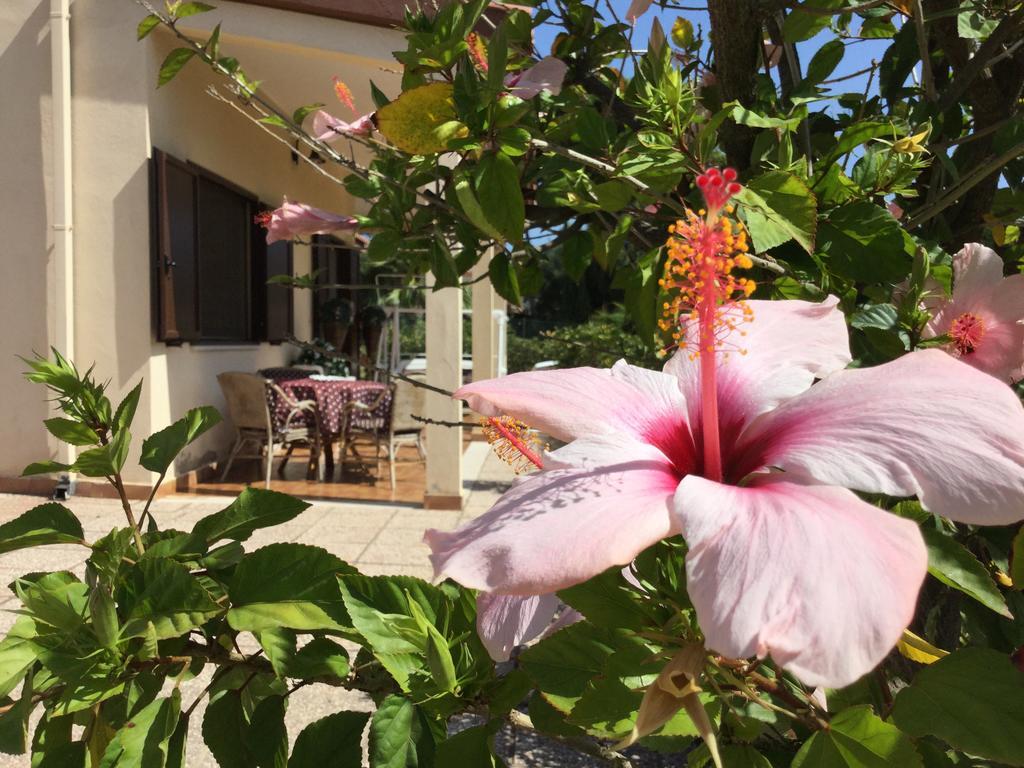Villa Ro Porto Columbu - Perd'E Sali Екстер'єр фото