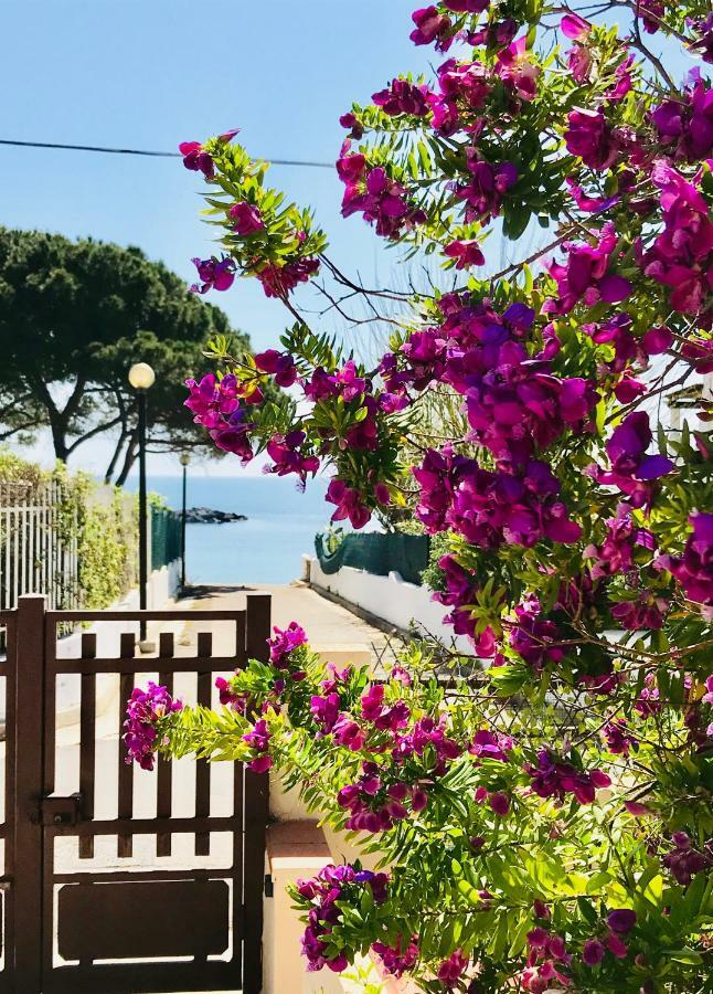 Villa Ro Porto Columbu - Perd'E Sali Екстер'єр фото